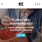 mitz.mx