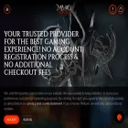 mmoprovider.com mmoprovider.com
