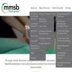 mmsb.nl.ca mmsb.nl.ca