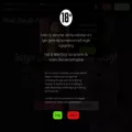 modedanskepiger.com modedanskepiger.com