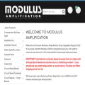 modulusamplification.com