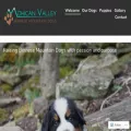 mohicanvalleybernese.com