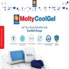 moltyfoam.com.pk