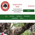 montclairtreeexperts.com montclairtreeexperts.com