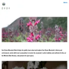 mountainwatch.org
