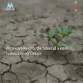 moveon.ai