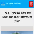 mrlitterbox.com