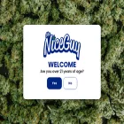 mrniceguyretail.com mrniceguyretail.com