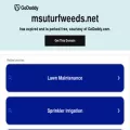 msuturfweeds.net msuturfweeds.net