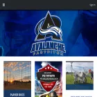 mtavalanchefastpitch.com mtavalanchefastpitch.com