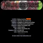 mulberrytrees.co.uk mulberrytrees.co.uk