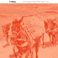 muledesign.com muledesign.com
