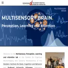 multisensorybrain.com multisensorybrain.com