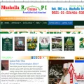 mushollarapi.blogspot.com