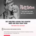 muttnation.com muttnation.com