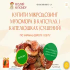 muxomor.com muxomor.com