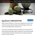 muzeuloului-vama.com