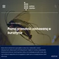 muzeumgdansk.pl
