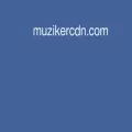 muzikercdn.com