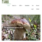 mycorrhizas.org mycorrhizas.org