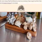 mycoterrafarm.com mycoterrafarm.com