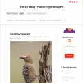 my-photo-blog.com my-photo-blog.com