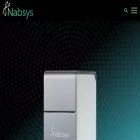 nabsys.com