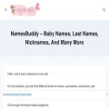 namesbuddy.com namesbuddy.com