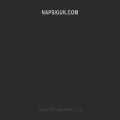napsiguk.com