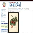 nathankramer.com nathankramer.com