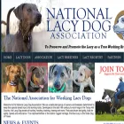 nationallacydog.org nationallacydog.org