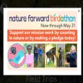 natureforward.org