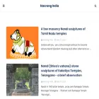 navrangindia.in navrangindia.in