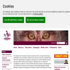 navs.org.uk navs.org.uk