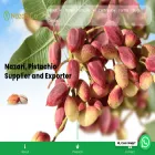 nazari-pistachio.com nazari-pistachio.com