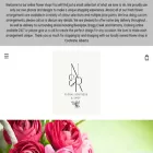 nectareandroot.com nectareandroot.com