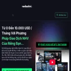 nenhanhvi.net nenhanhvi.net
