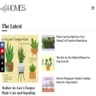nestichomes.com nestichomes.com