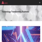 netbiis.com