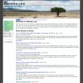 netlobo.com netlobo.com