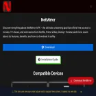 netmirror.vip