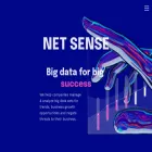 netsense.info netsense.info