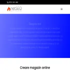 netseo.ro