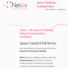 netsive.com netsive.com