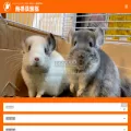 nettai.co.jp