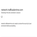 network.trafficadsmine.com