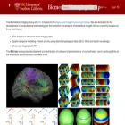 neuroimage.usc.edu neuroimage.usc.edu