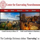 neuroimmune.cornell.edu neuroimmune.cornell.edu