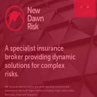 newdawnrisk.com newdawnrisk.com