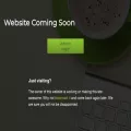 newsonline.net newsonline.net